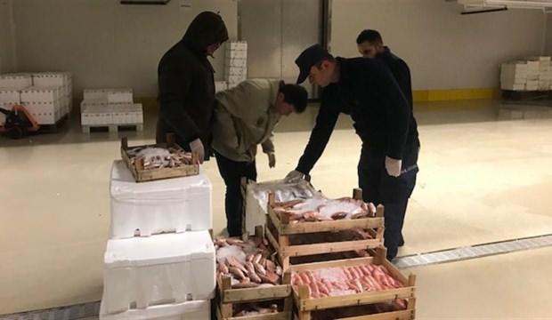 Kanuna aykırı avlanan 20 ton su ürününe el konuldu