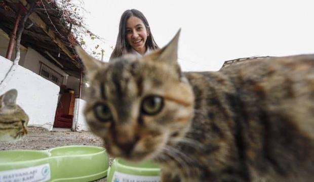 Sokak kedileri için harçlığı yetmeyince ombudsmana başvurdu
