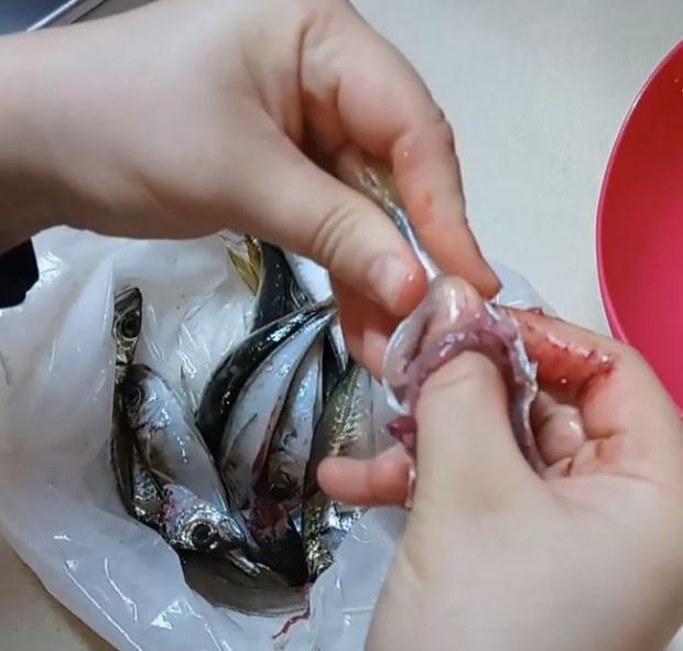 İstavrit balığı nasıl temizlenir? İstavrit pratik ayıklama yöntemi