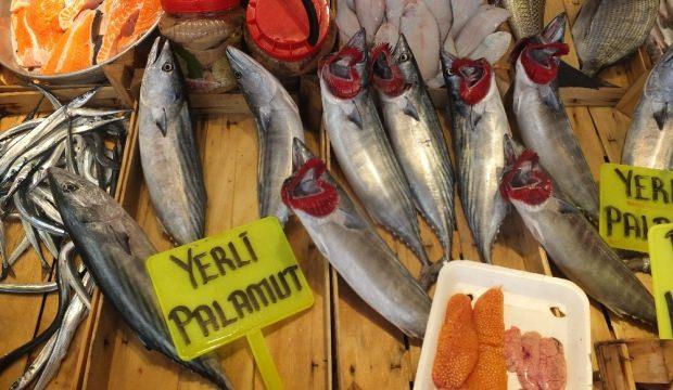 Son iki yılda palamut yüzde 90 azaldı