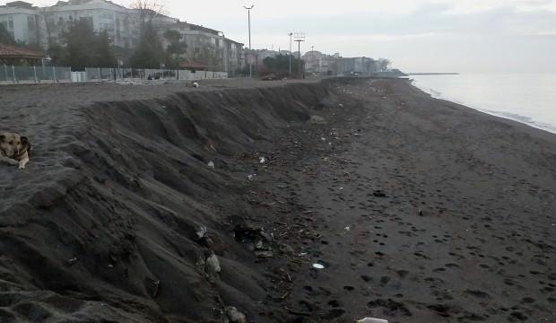 Düzce'de şaşkına çeviren görüntü
