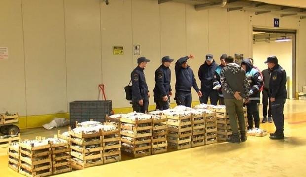 İstanbul'da balık operasyonu! 13 ton ele geçirildi