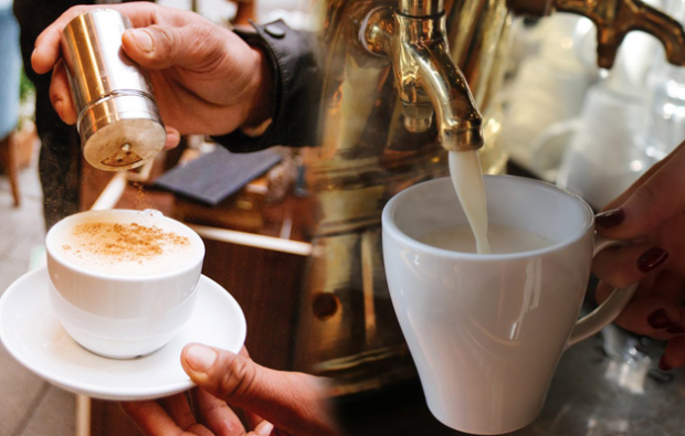 Salep bitkisi nedir, hangi bitkiden yapılır? Salep içmek kilo aldırır mı? Ender Saraç'tan ev yapımı salep tarifi