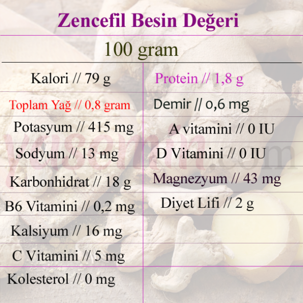 Zencefilin faydaları nelerdir? Zencefil hangi hastalıklara iyi gelir? Ballı zencefil karışımı..