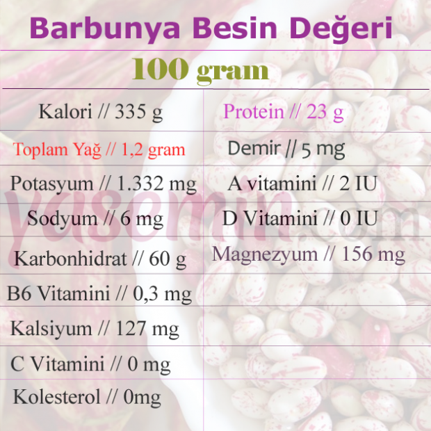 Barbunyanın faydaları nelerdir? Barbunya hangi hastalıkları önlüyor? Barbunya zararlı mı?