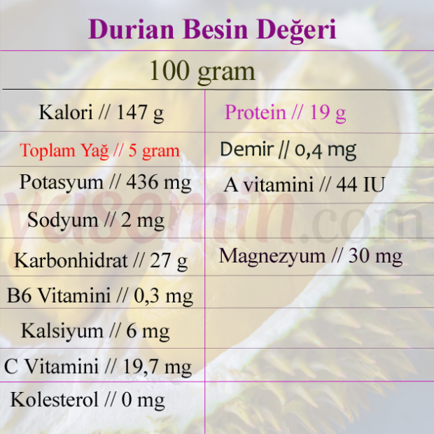 durian besin değeri 