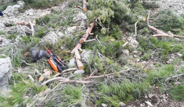 Ağaç kesmeye giden adamın korkunç ölümü