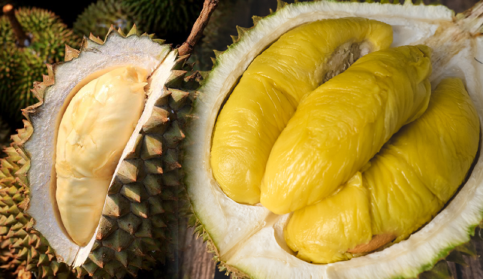 durian_meyvesinin_faydalari_nelerdir_durian_hangi_hastaliklara_iyi_gelir_durian_nasil_tuketilir_1575884193_4138.png