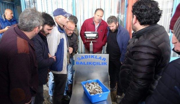 Hamsi kayıpta: 100 kasaya kadar düştü!