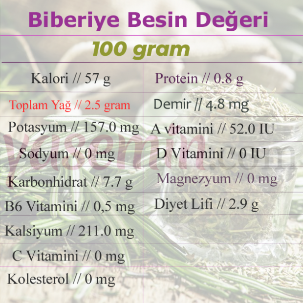 Biberiye (Kuş dili otunun) faydaları nelerdir? Biberiye (Kuş dili otunun) yağı ne işe yarıyor?