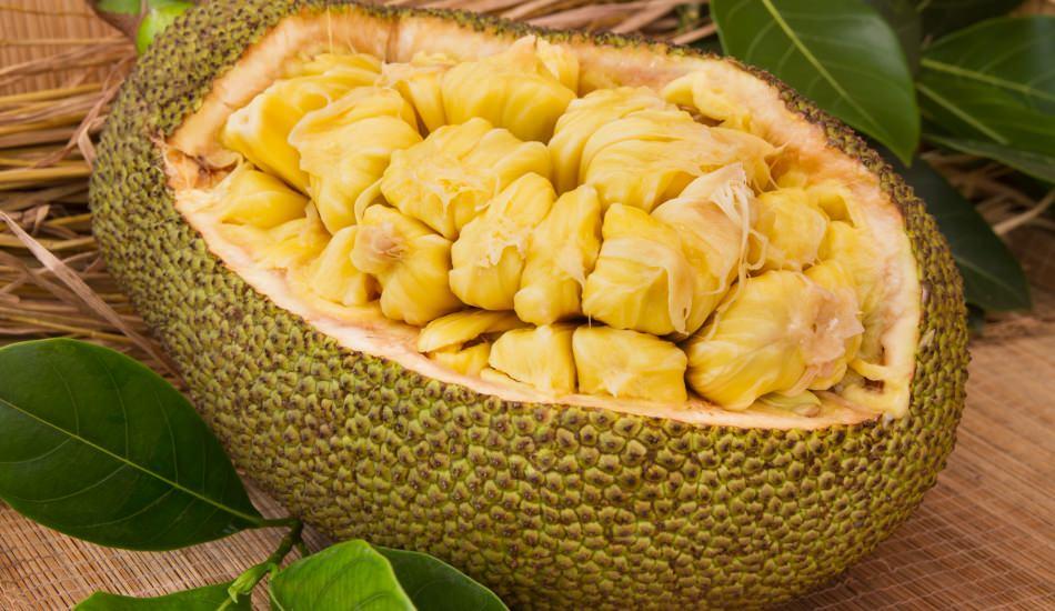 jack_fruit_meyvesi_nedir_jack_fruit_meyvesinin_faydalari_nelerdir_jack_fruit_meyvesi_nasil_tuketilir_1577530961_2298.jpg