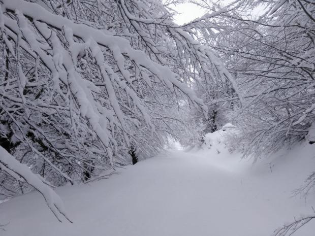 Kar yağışıyla beyaza bürünen Amasya'dan kartpostallık görüntü. 