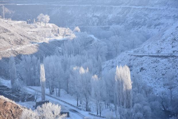 Hava sıcaklığının sıfırın altında 13 dereceye düştüğü Kars'ta, ağaçlar ve bitkiler kırağı tuttu.