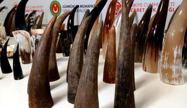 İstanbul Havalimanı'nda yakalandı! Değeri 310 bin lira