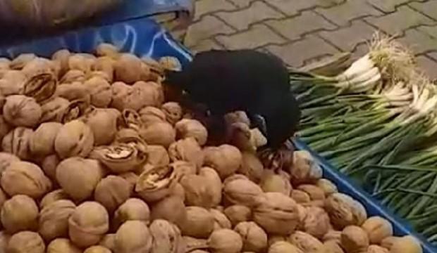 Karga, pazar tezgahındaki cevizleri yerken görüntülendi