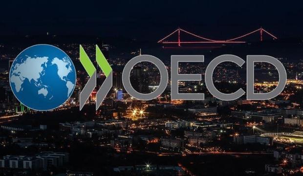 OECD İstanbul Merkezi Kurulmasına İlişkin Mutabakat Zaptı onaylandı