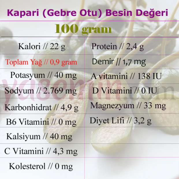 Kaparinin faydaları nelerdir? Gebre otu olarak da bilinen kapari hakkında merak edilenler