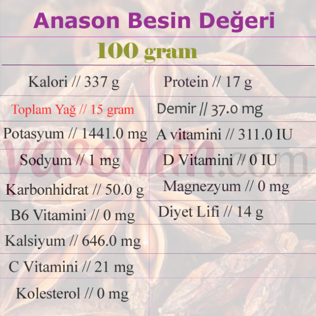 ANASON BESİN DEĞERİ