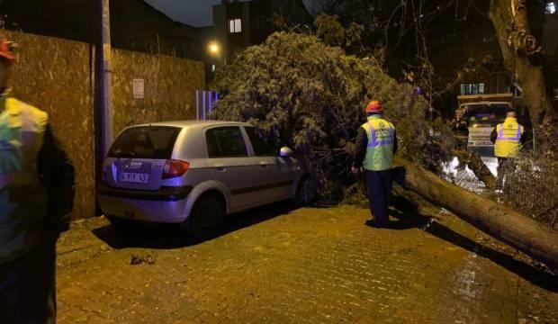 İstanbul'da yağış ve rüzgar hayatı felç etti