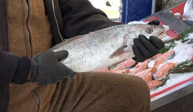 Tezgahta gören şaşırdı! Kilosu 120 lira