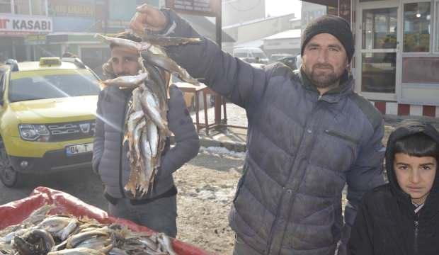 Eksi 25 derecede böyle balık avlıyor