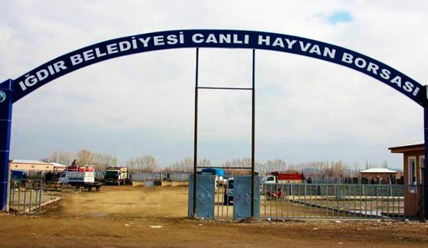 O ilde panik! ‘Canlı Hayvan Borsası’ kapatıldı