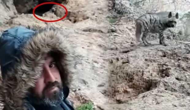 Burası Adıyaman! Sırtlanların inine kadar gidip bunu yaptı