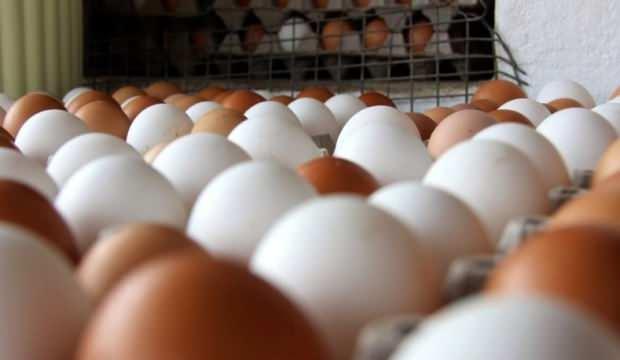 Kümes hayvancılığı üretim verileri açıklandı