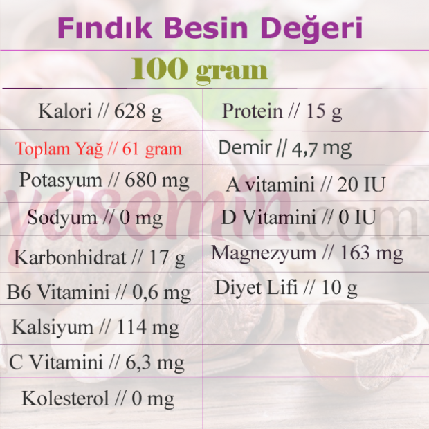 fındık besin değeri