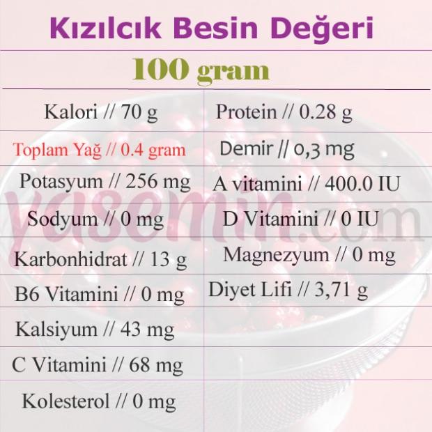 Kızılcığın faydaları nelerdir? Kızılcık çayı nasıl demlenir?