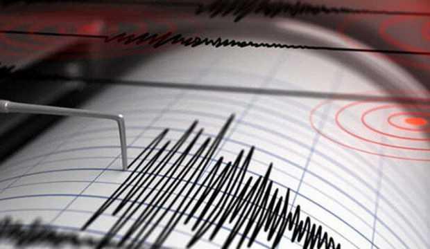 Depremde hayvanları telef olanlara destek
