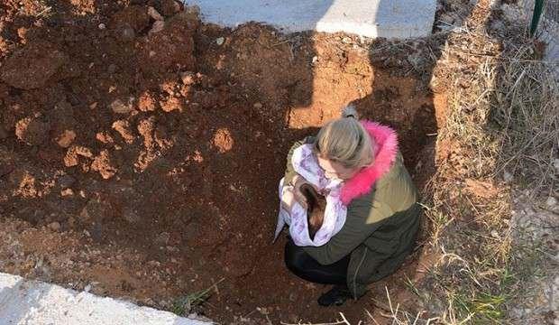 Depremde kalp krizi geçiren köpek öldü