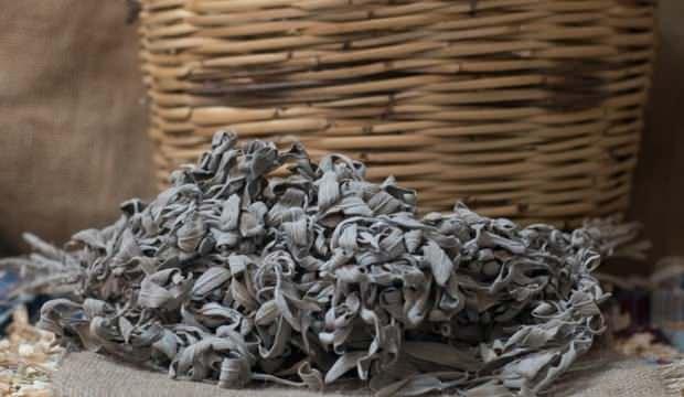 Adaçayı faydaları nelerdir? Adaçayı hangi hastalıklardan korur?