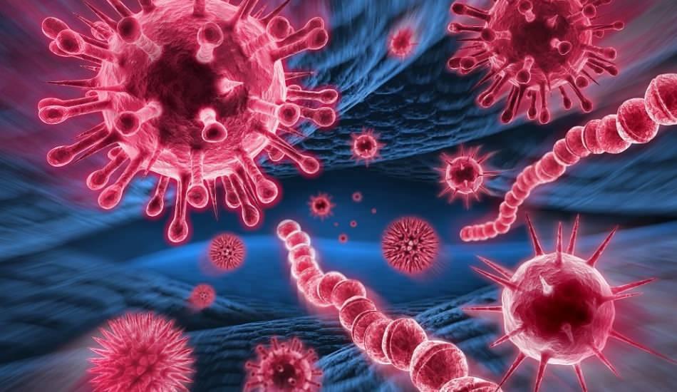 Mers virüsü nedir? Mers virüsünün belirtileri nelerdir? Mers virüsü nasıl bulaşır?