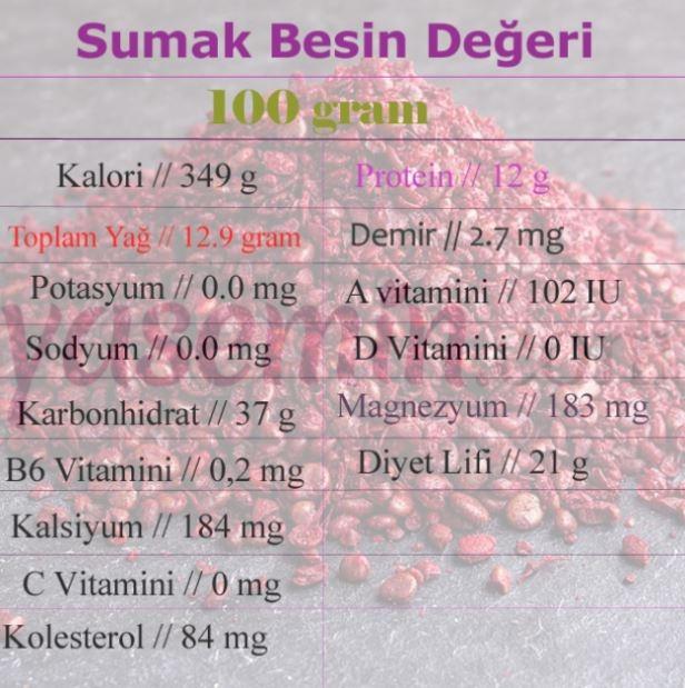 Kilo verdiren yoğurtlu sumak kürü! Kısa zamanda fit görünüm...