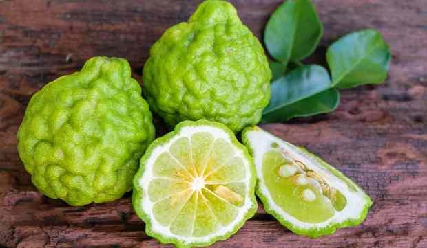 bergamot