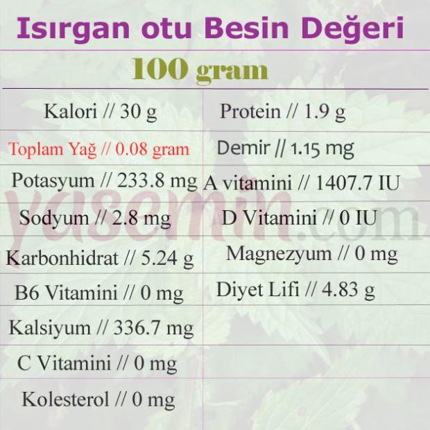 Isırgan otunun faydaları nelerdir? Isırgan otu çayı nasıl yapılır?