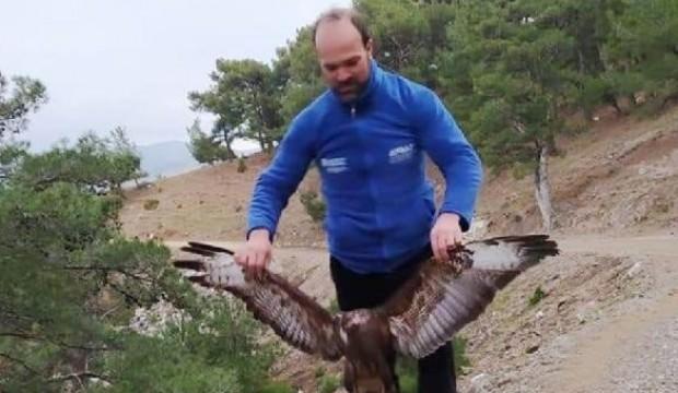 Sosyal medyadaki kaçak şahin avına 12 bin 875 lira ceza
