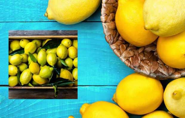 5 günde 3 kilo verdiren Limon diyeti nasıl uygulanır?