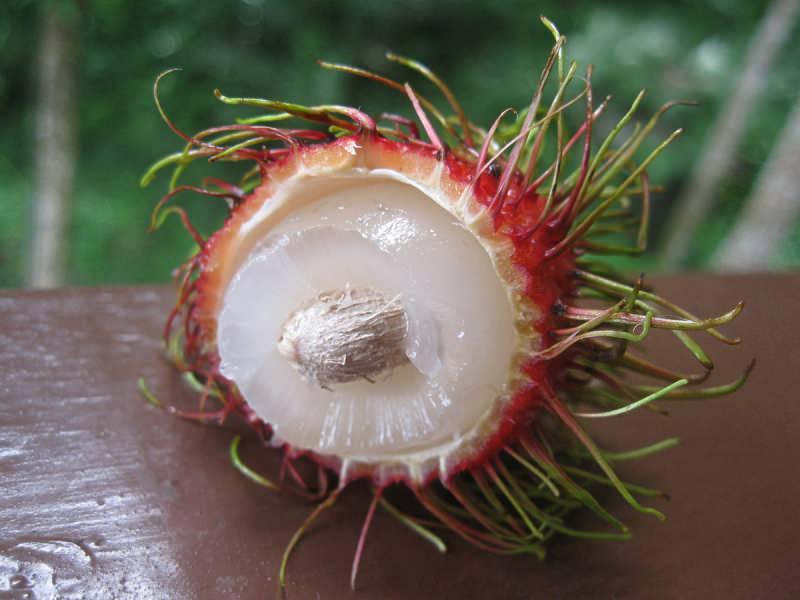 Rambutan nedir? Rambutan meyvesinin faydaları nelerdir? Rambutan nasıl yenir?