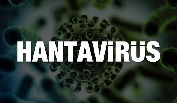 Hantavirüs nedir? Çinde ortaya çıkan hantavirüs bulaşıcı mı?