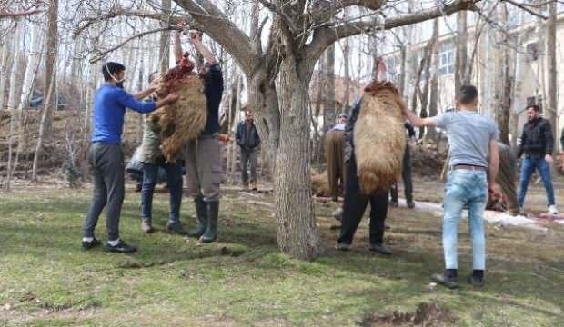 Koronavirüse karşı 180 kurban kestiler