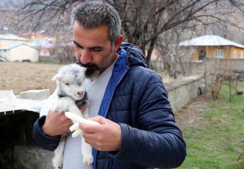 Murat Aydemir keçi yavrusunun hayatını kurtardı