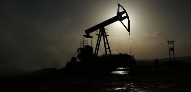 TPAO'ya iki adet petrol arama ruhsatı