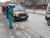 Yaralı köpek saatlerce yardım bekledi / GALERİ