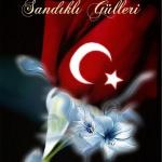 "Cennet Bahçesinde Sandıklı Gülleri"