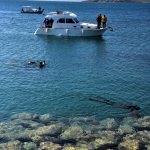 Bodrum'da dalgıçlar denizin dibini temizledi