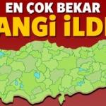 Türkiye'de en fazla bekar hangi ilde?