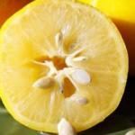Limonu saçınıza sürerseniz...