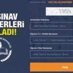 2018 LGS (Liseye Giriş Sınavı) giriş belgesi yazdırma ekranı...
